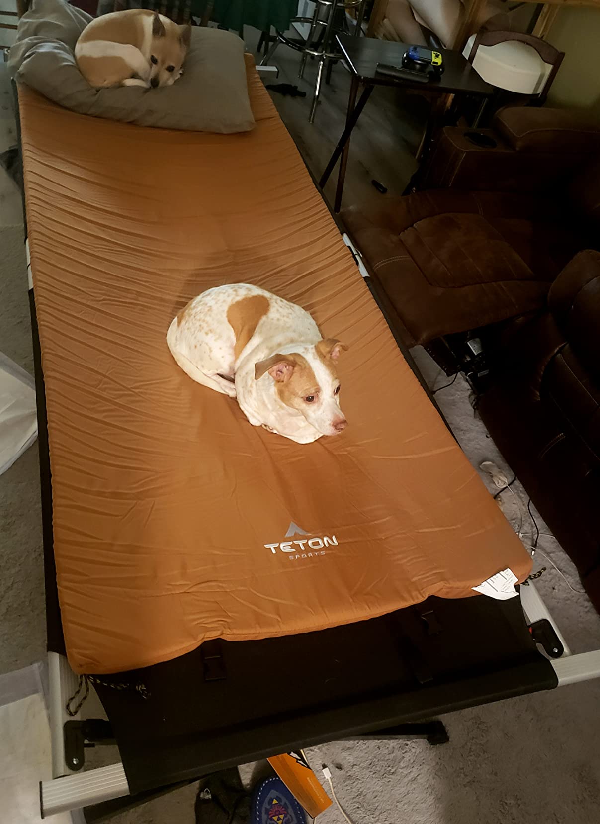 Teton Outfitter XXL Sleeping Pad for Cot, Extra Thick Comfortable Camping Mattress for Adults, Portable Roll-Up Camp Pad, Durable Foam Cushioning customer photo 2
