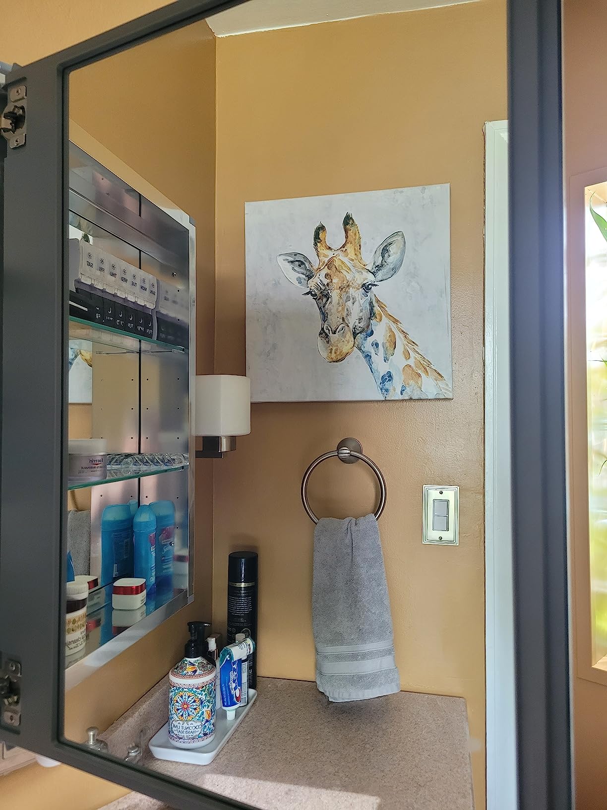 Kohler Frameless Bathroom Mirror Medicine Cabinet, 20 in x 26 in customer photo 1