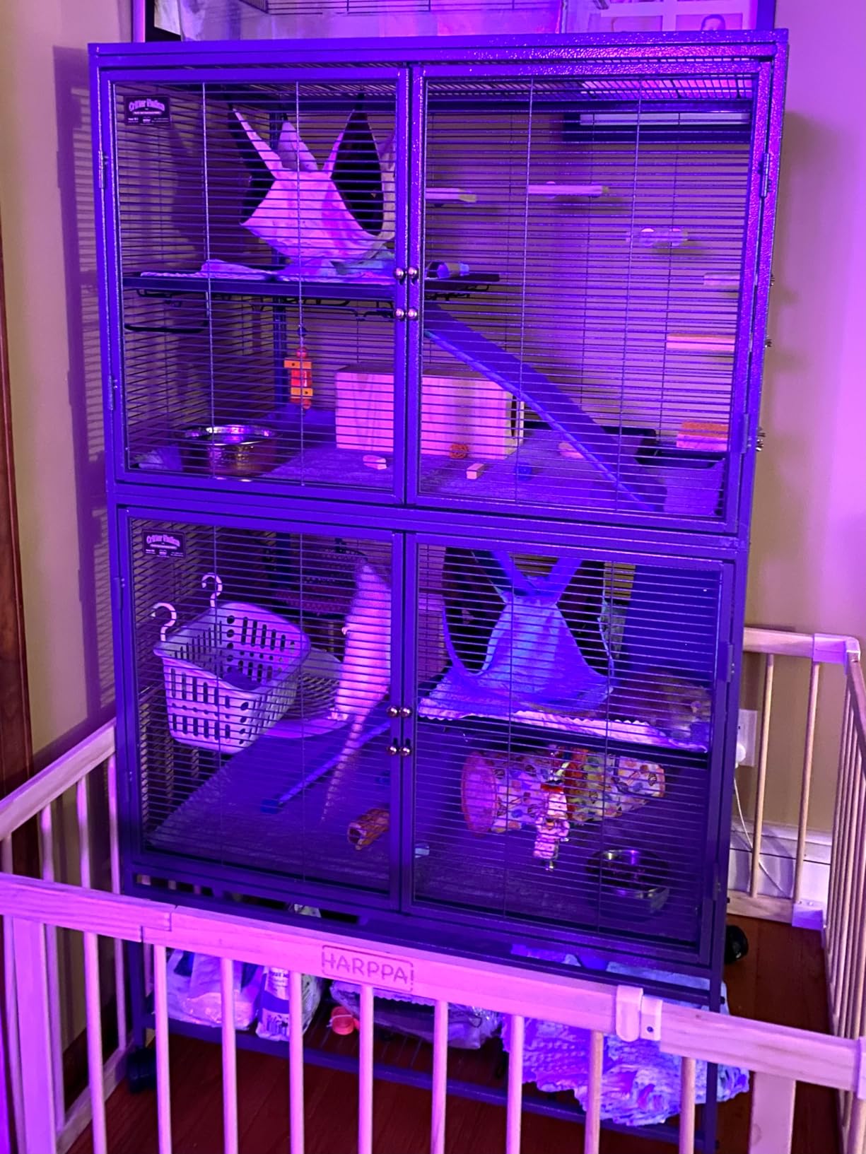 Critter Nation by MidWest Single Unit Small Animal Cage | Habitat for Rats, Chinchillas, Ferrets & Sugar Gliders, Tool-Free Assembly, Full-Width Doors, Shelf & Removable Base Pan customer photo 1