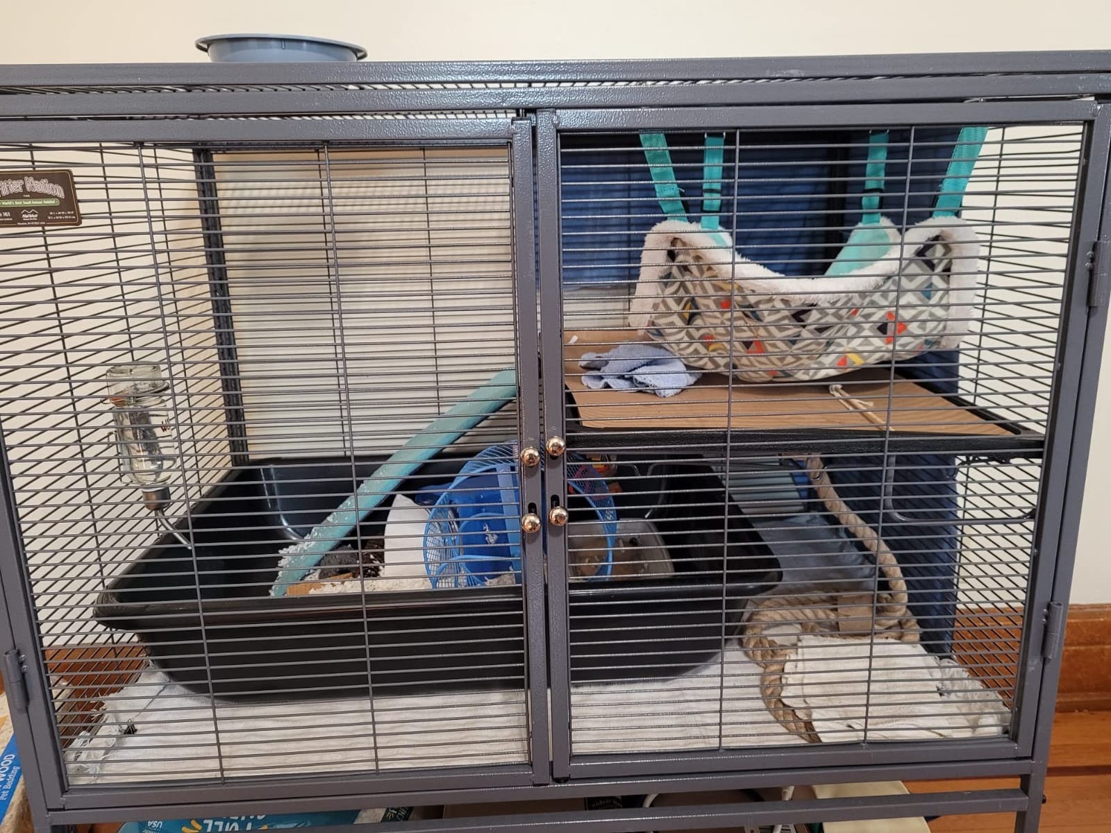 Critter Nation by MidWest Single Unit Small Animal Cage | Habitat for Rats, Chinchillas, Ferrets & Sugar Gliders, Tool-Free Assembly, Full-Width Doors, Shelf & Removable Base Pan customer photo 2
