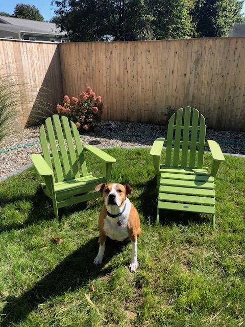 POLYWOOD AD5030WH Classic Folding Adirondack Chair, White 35.7 x 29 x 35.7 inches customer photo 1