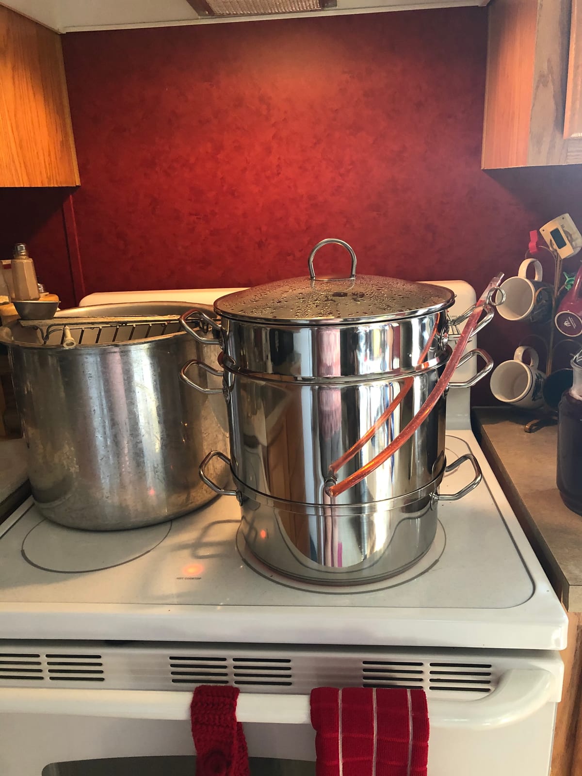 Norpro 619 Stainless Steel Steamer/Juicer customer photo 2