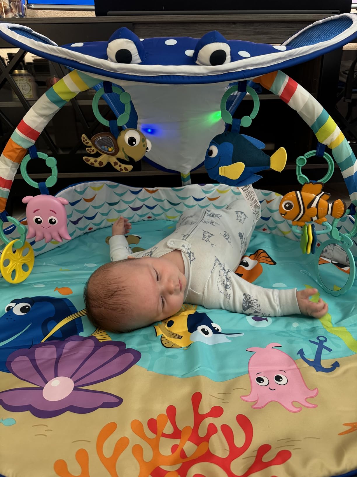 Bright Starts Disney Baby Finding Nemo Mr. Ray Ocean Lights & Music Gym, Ages Newborn + customer photo 2