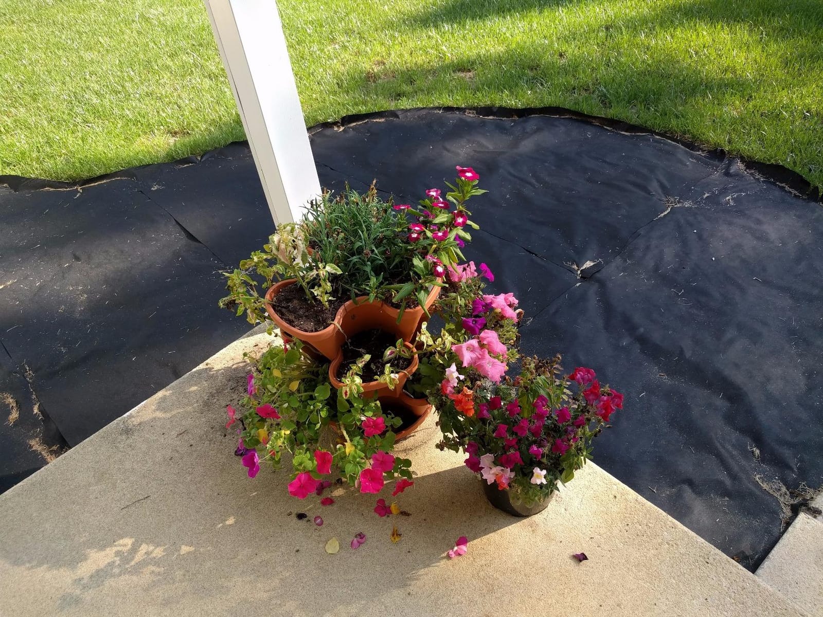 3 Tier Stacking Planter-Flower, Herb, Stackable Garden, Vegetable-Self-Watering-Indoor/Outdoor (Terracotta) customer photo 2