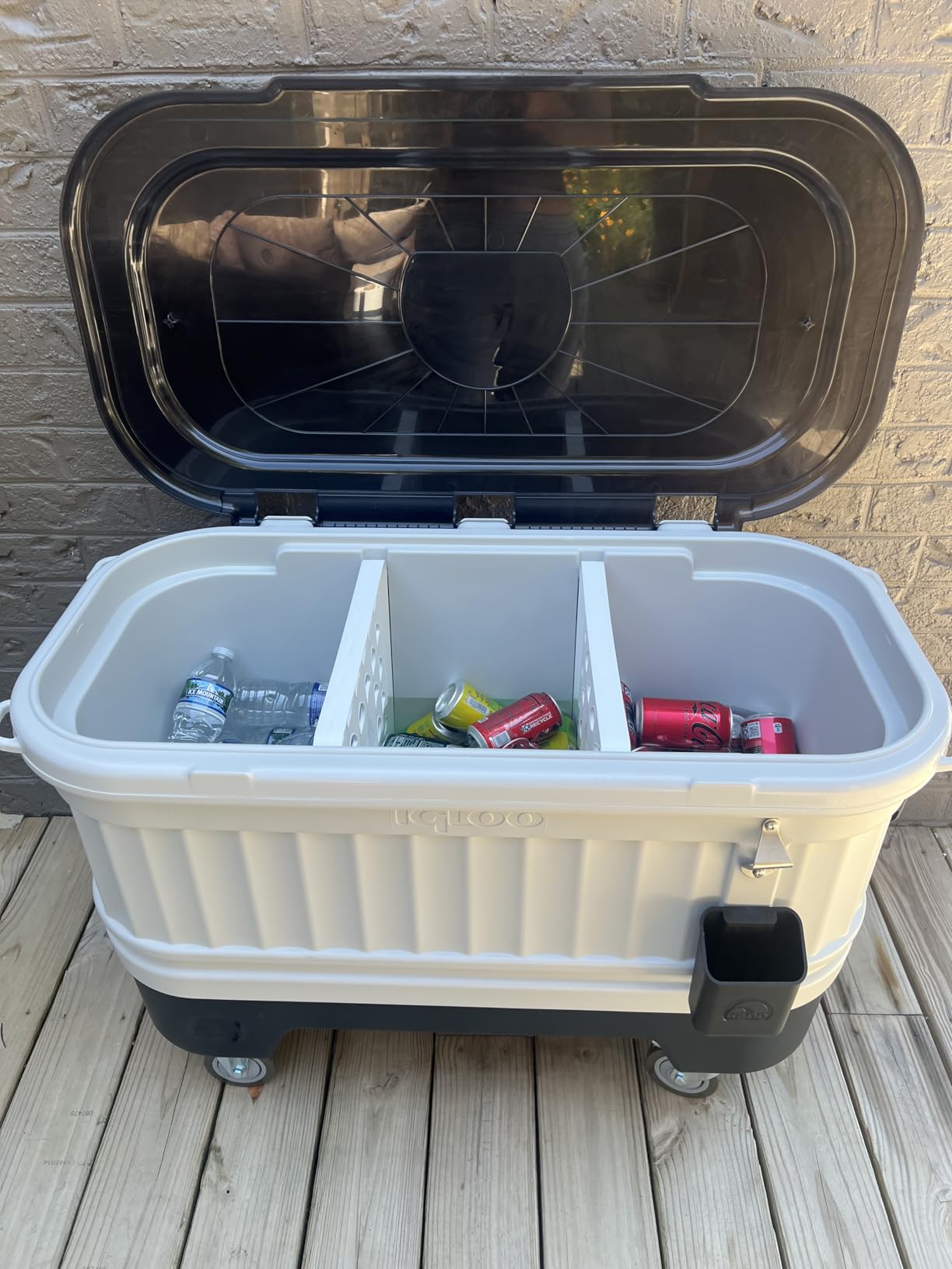 Igloo Hard Cooler | Polar & Party Bar Series | Insulated Ice Chests customer photo 2