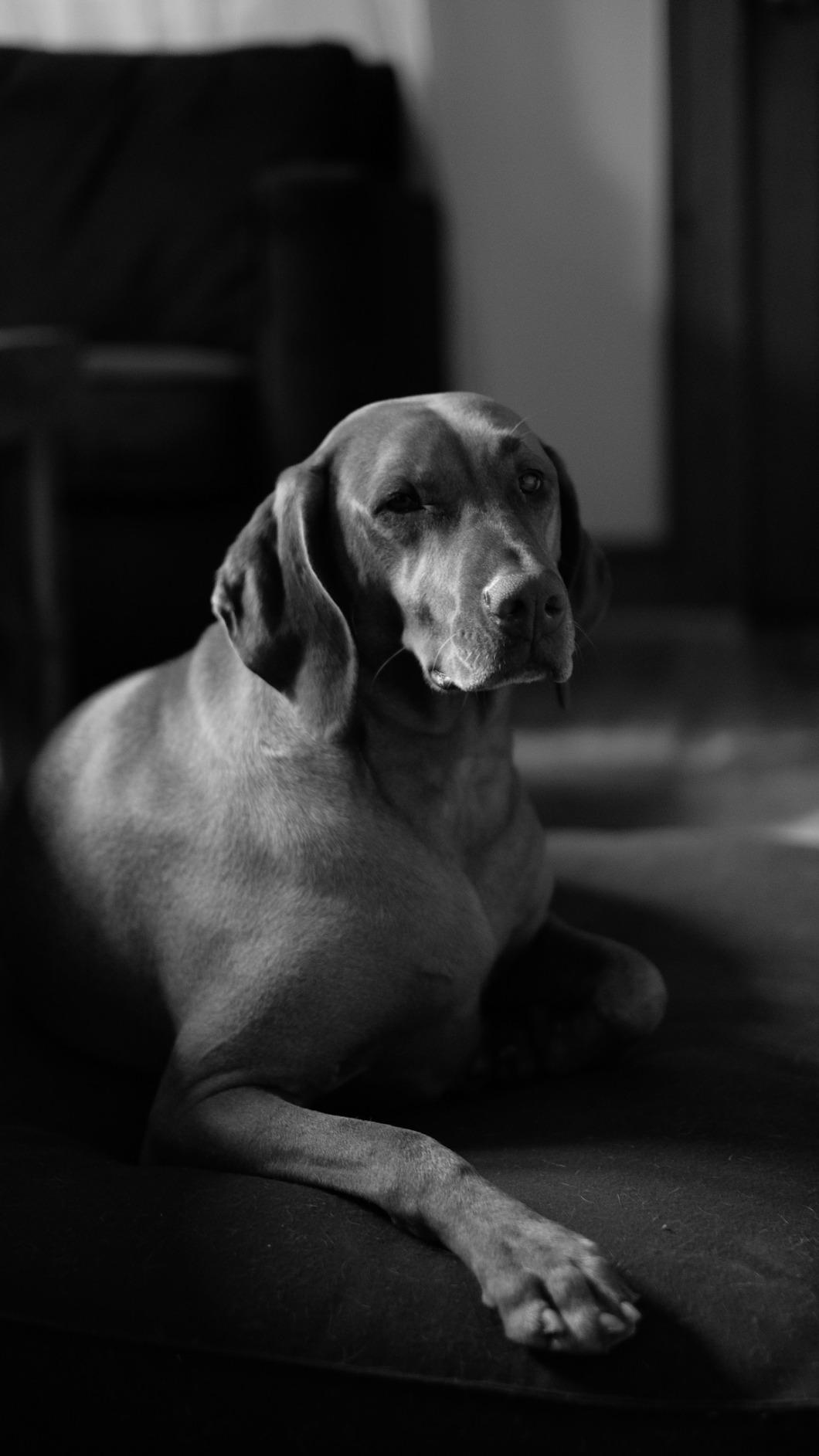 Fujifilm XF35mmF1.4 R customer photo 1