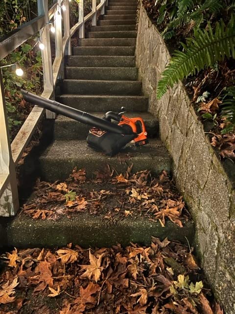 BLACK+DECKER Leaf Blower Cordless Leaf Vacuum and Mulcher Combo Kit, Battery and Charger Included, 40V 120 mph Air Speed, 6-Speed Dial, Built-in Scraper with Collection Bag (LSWV36) customer photo 1