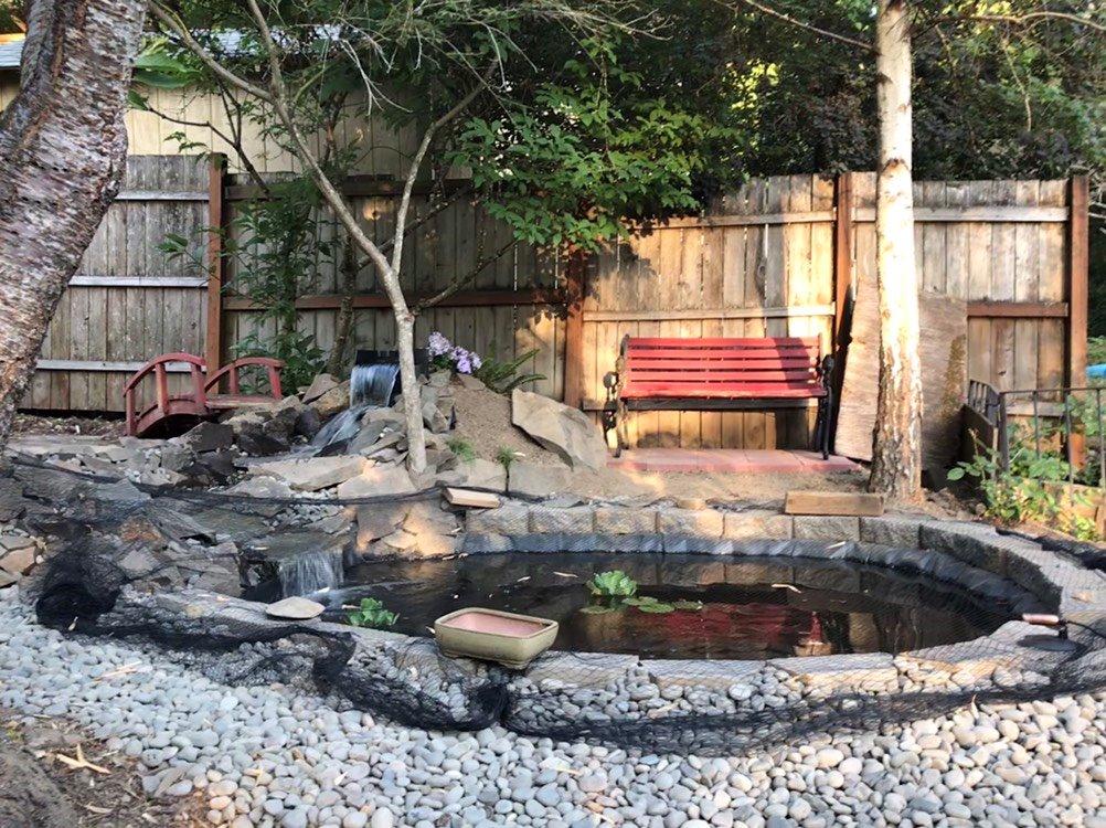 Simply Ponds 2100 GPH Water Garden Koi Pond Kit 15 x 20 Ft EPDM Liner customer photo 2