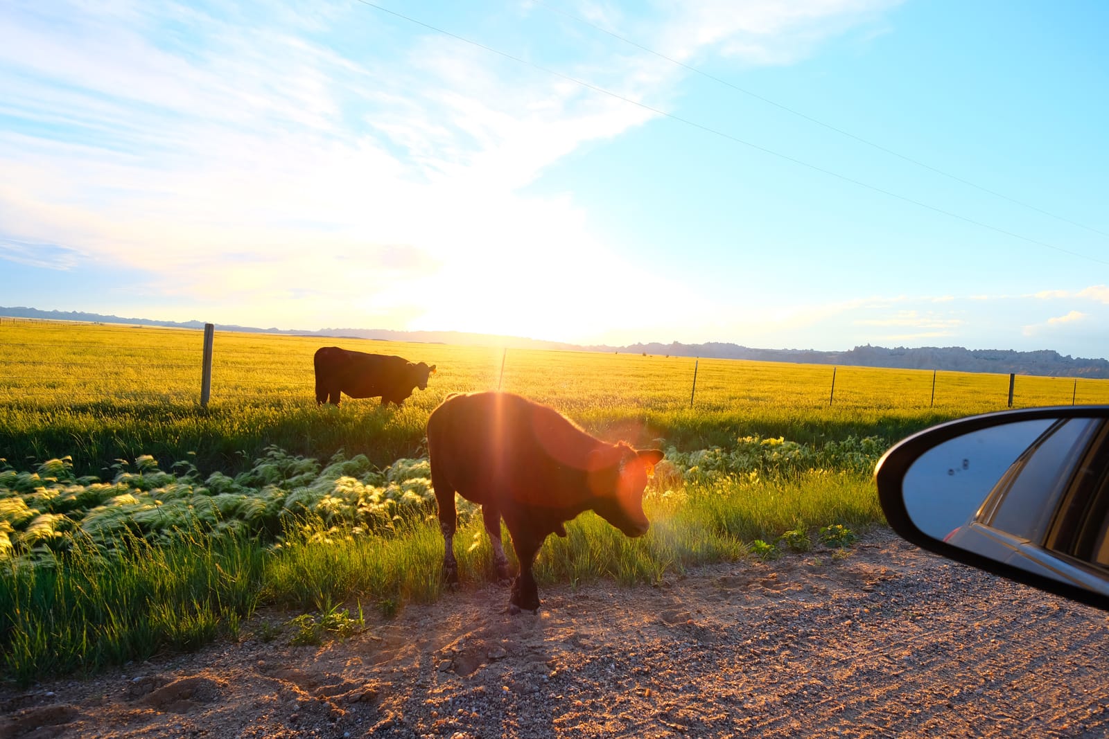 Fujifilm XF14mmF2.8 R customer photo 2