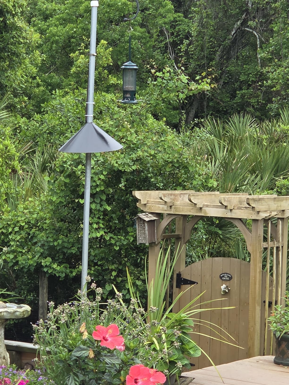 Squirrel Buster Standard Squirrel-proof Bird Feeder w/4 Metal Perches, 1.3-pound Seed Capacity, garden green | Four metal perches, weight-triggered closure, chew-proof design, easy cleaning customer photo 2