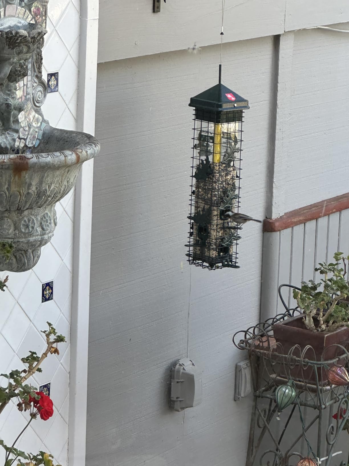Squirrel Solution200 Squirrel-proof Bird Feeder w/6 Feeding Ports, 3.4-pound Seed Capacity, Free Seed Funnel customer photo 2