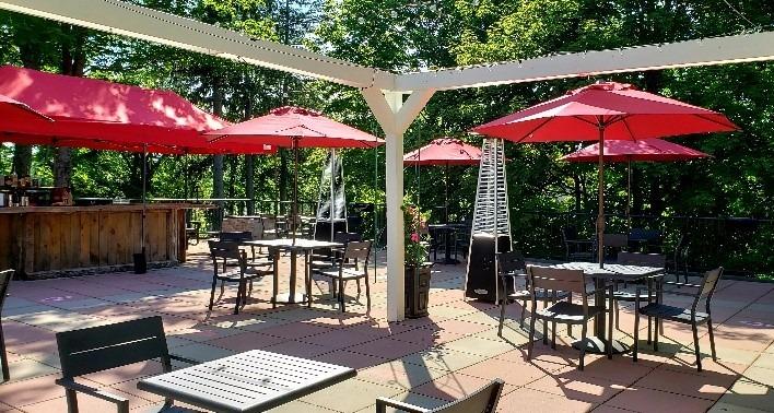 Outdoor Propane Patio Heater - Commercial LP Gas Porch & Deck Heater - Black customer photo 1