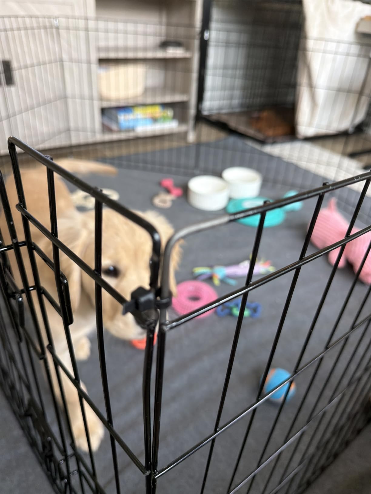 Dog Playpen - Foldable Metal Exercise Puppy Play Pen with 8 24x30in Panels - Indoor/Outdoor Pen with Door for Dogs, Cats or Small Animals by PETMAKER | Indoor/Outdoor Portable Pet Play Fence with 8 Durable Panels and Secure Door for Dogs, Puppies, Cats, and Small Animals customer photo 1