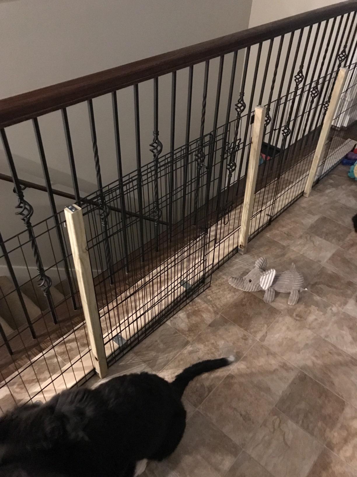 Dog Playpen - Foldable Metal Exercise Puppy Play Pen with 8 24x30in Panels - Indoor/Outdoor Pen with Door for Dogs, Cats or Small Animals by PETMAKER | Indoor/Outdoor Portable Pet Play Fence with 8 Durable Panels and Secure Door for Dogs, Puppies, Cats, and Small Animals customer photo 2