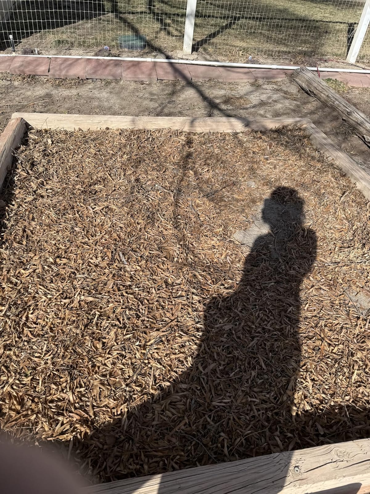BLACK+DECKER Leaf Blower Leaf Vacuum and Leaf Mulcher 3-in-1, Electric Blowers for Lawn Care, 12 Amp, 250 MPH, 400 CFM (BV6000) customer photo 1