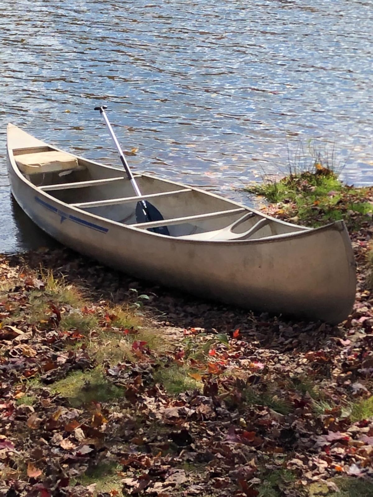 Attwood 11765-1 Canoe Paddle, Aluminum and Plastic, 5-Feet Long, Black Blade, Ergonomic Grip customer photo 2