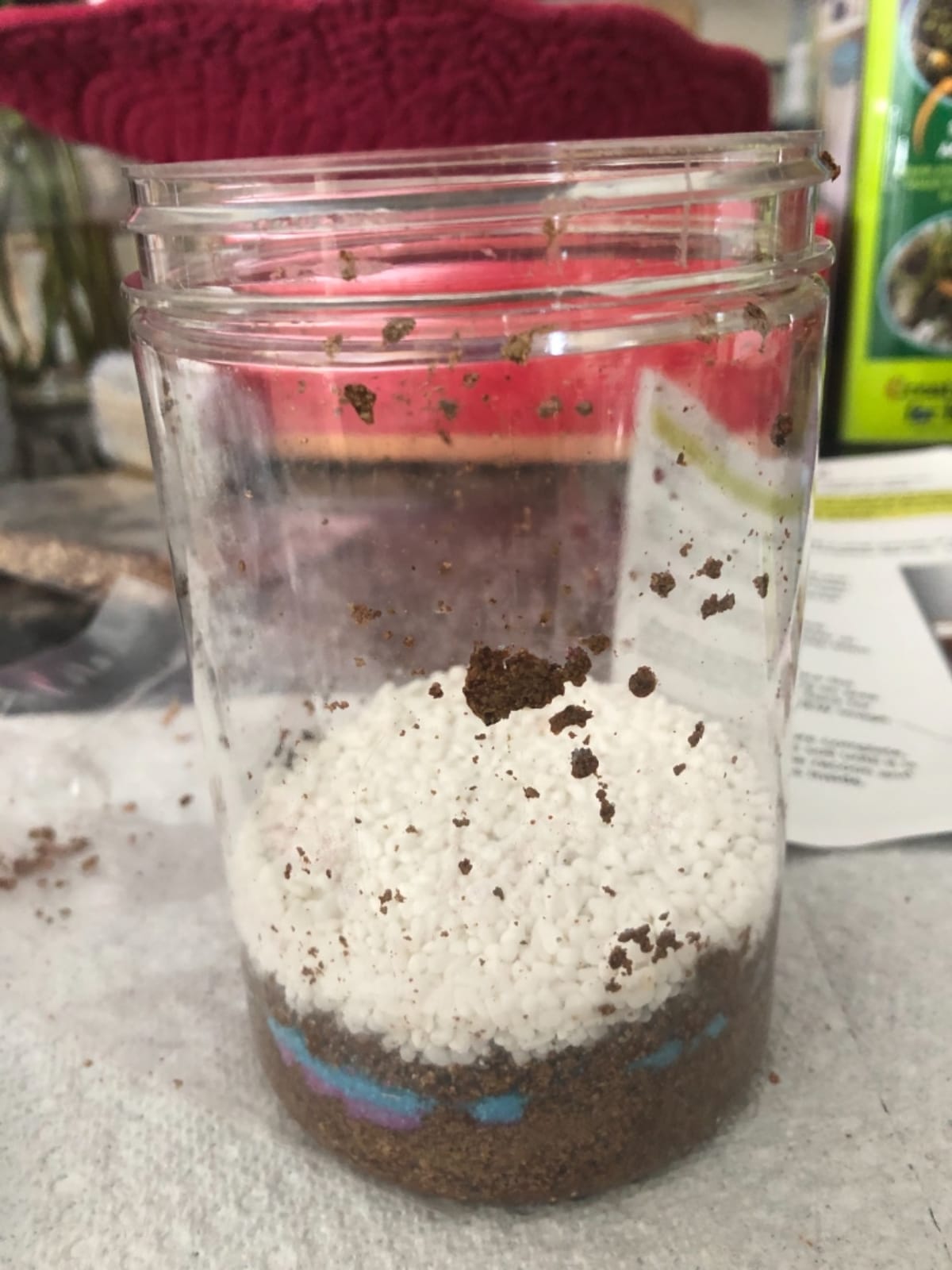 Creativity for Kids Grow 'N Glow Terrarium Kit - Educational Science Kits | Screen Free Summer Fun Activities | Gifts for Boys and Girls | Craft and STEM Projects (Ages 6+) customer photo 1