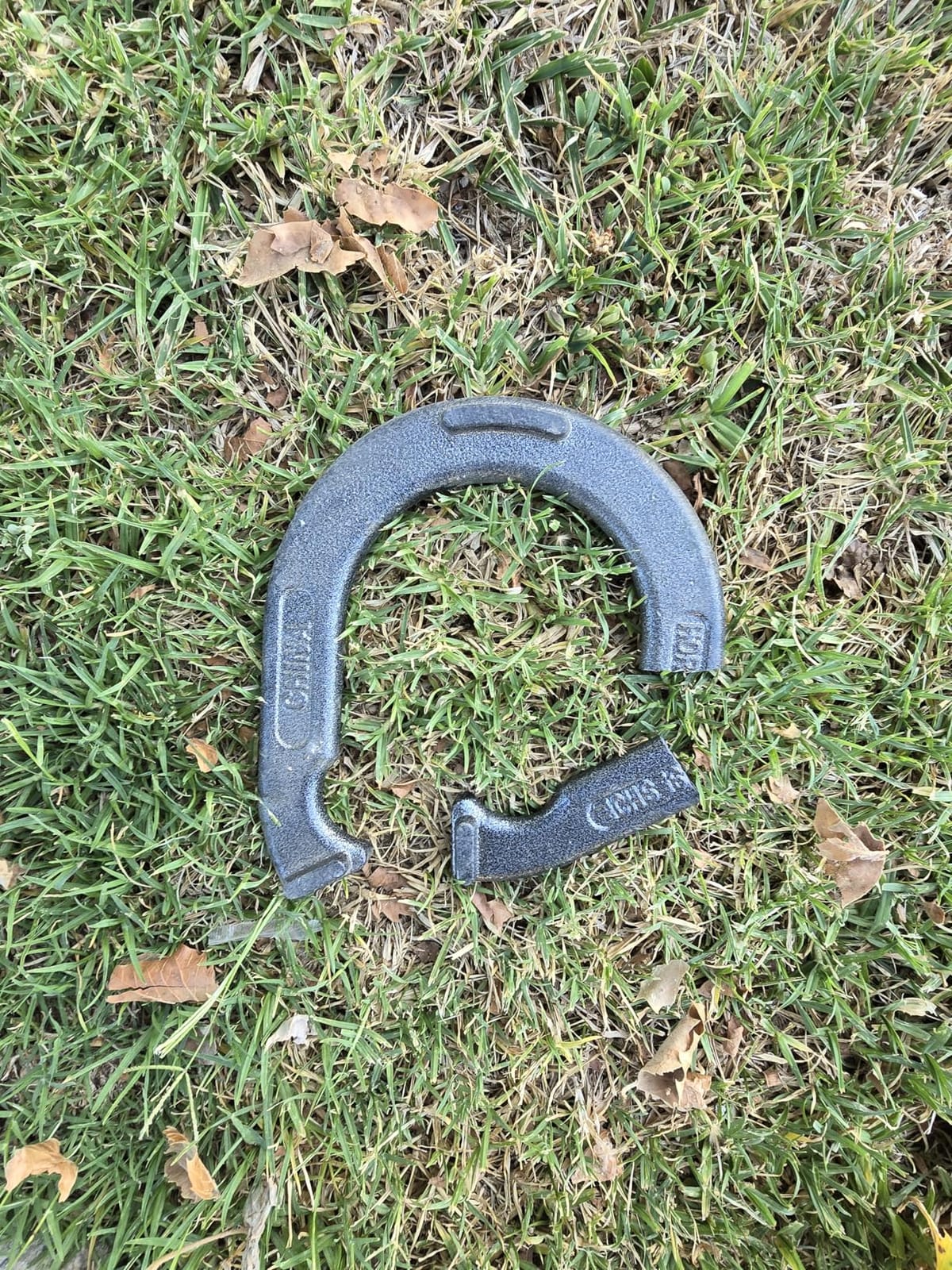 Triumph Forged and Steel Horseshoe Set Complete with 4 Horseshoes, 2 Stakes - Patriotic or Blue and Grey Colors - Perfect Addition for Parties and Outdoor Gatherings customer photo 2