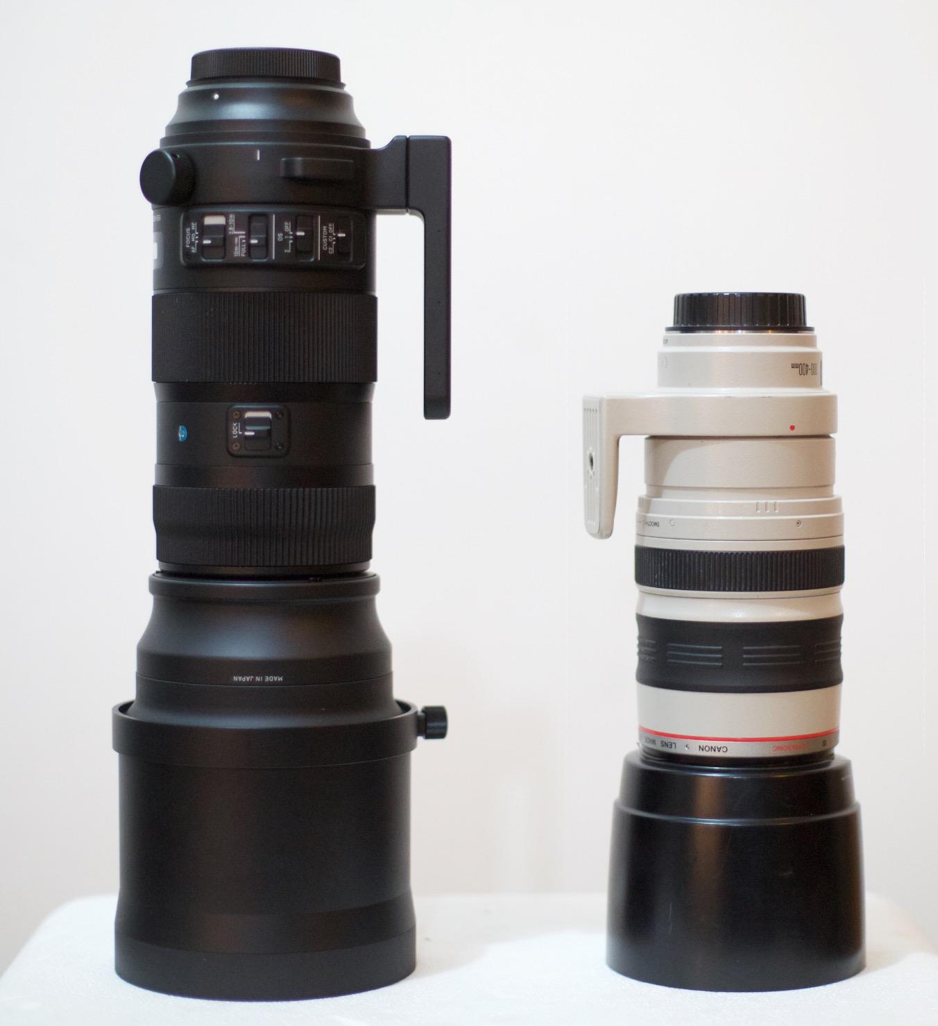 Sigma 150-600mm 5-6.3 Sports DG OS HSM Lens for Canon customer photo 2