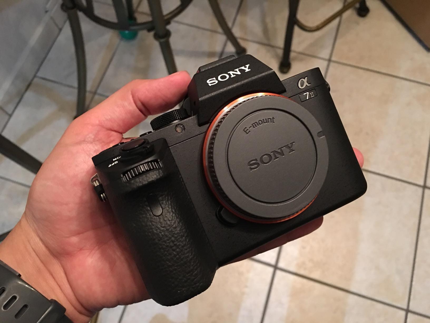 Sony Alpha a7II Mirrorless Digital Camera with 28-70mm f/3.5-5.6 Lens customer photo 2