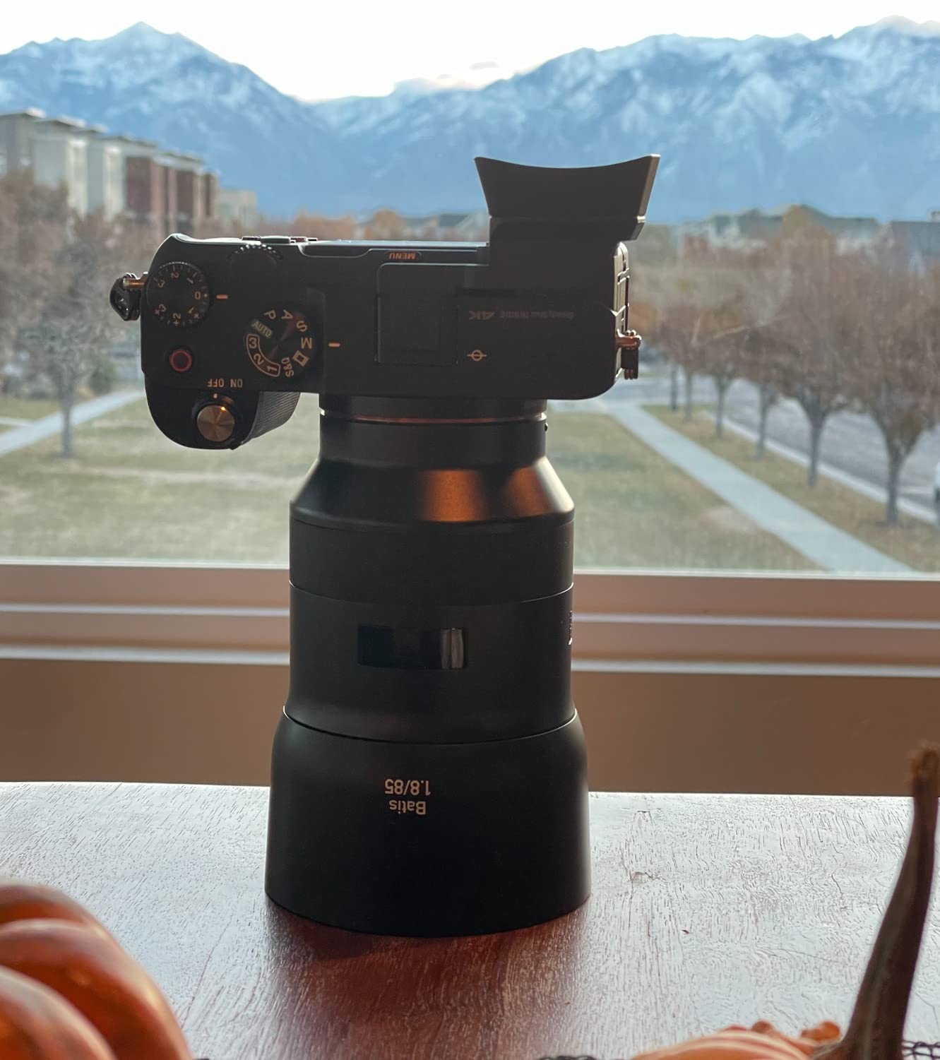 ZEISS Batis 85mm f/1.8 Lens for Sony E Mount Mirrorless Cameras, Black customer photo 1