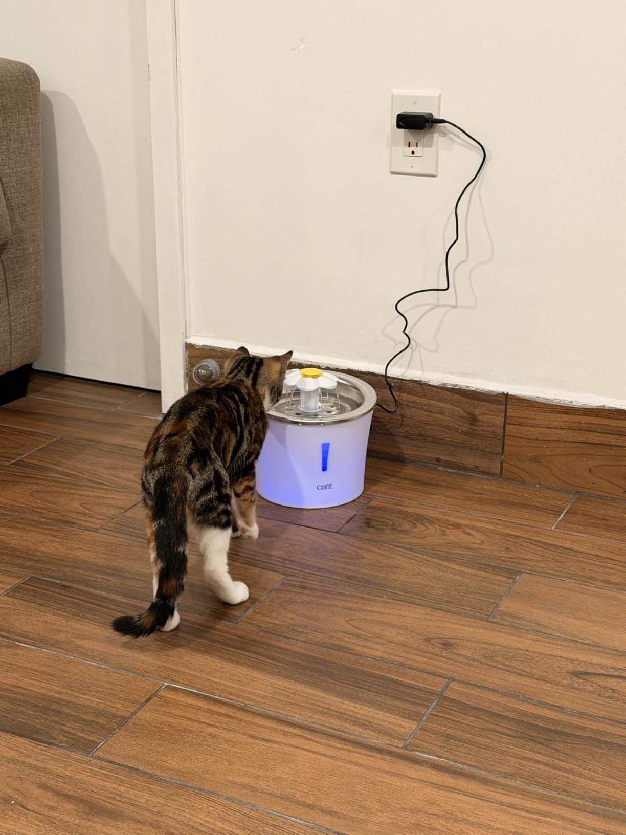 Catit Flower Fountain with Triple Action Filter, Cat Drinking Water Fountain, 3 L, Green | Cat Drinking Water Fountain customer photo 2