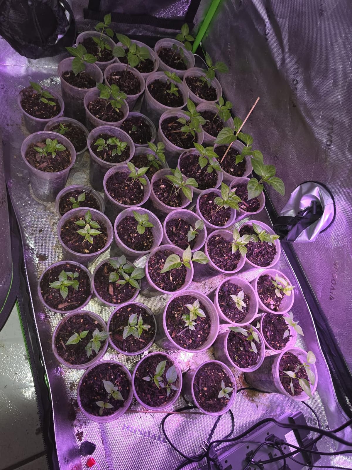 VIVOSUN S448 4x4 Grow Tent 48