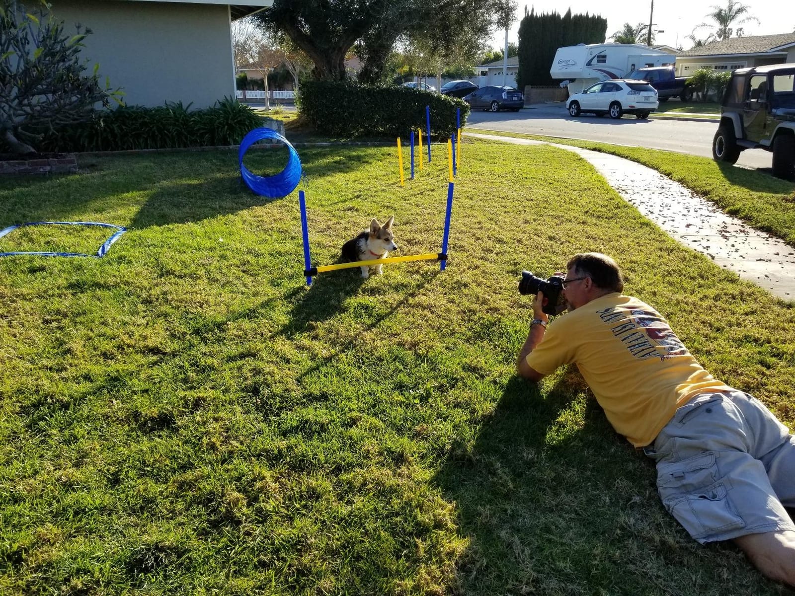 PawHut 4PC Obstacle Dog Agility Training Course Kit Backyard Competitive Equipment- Blue/Yellow customer photo 2