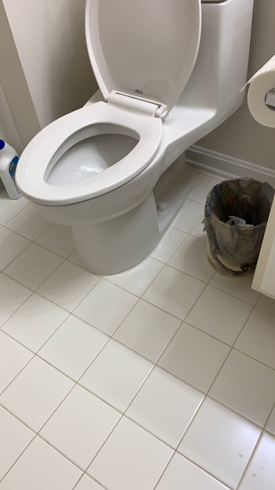 American Standard Champion 4 One Piece Elongated Toilet, 1.6 GPF, White customer photo 2