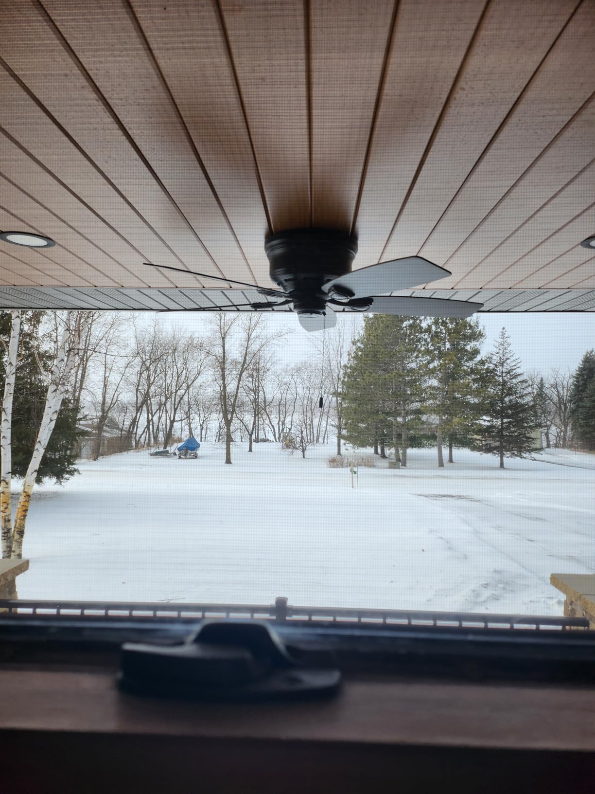 Hunter Sea Wind, Outdoor or Indoor, Ceiling Fan, No Light, 48 inch, White customer photo 1