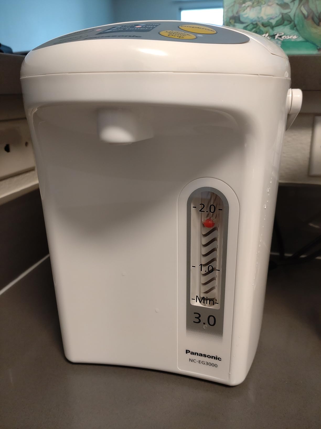 Panasonic 3L Water Boiler Electric Hot Water Dispenser Countertop w/Slow-Drip Mode for Coffee & Tea, 4 Temp Presets, Charcoal‑Purified Stainless, Auto Shut‑Off, Timer & Safety Lock - NC-EG3000 customer photo 1