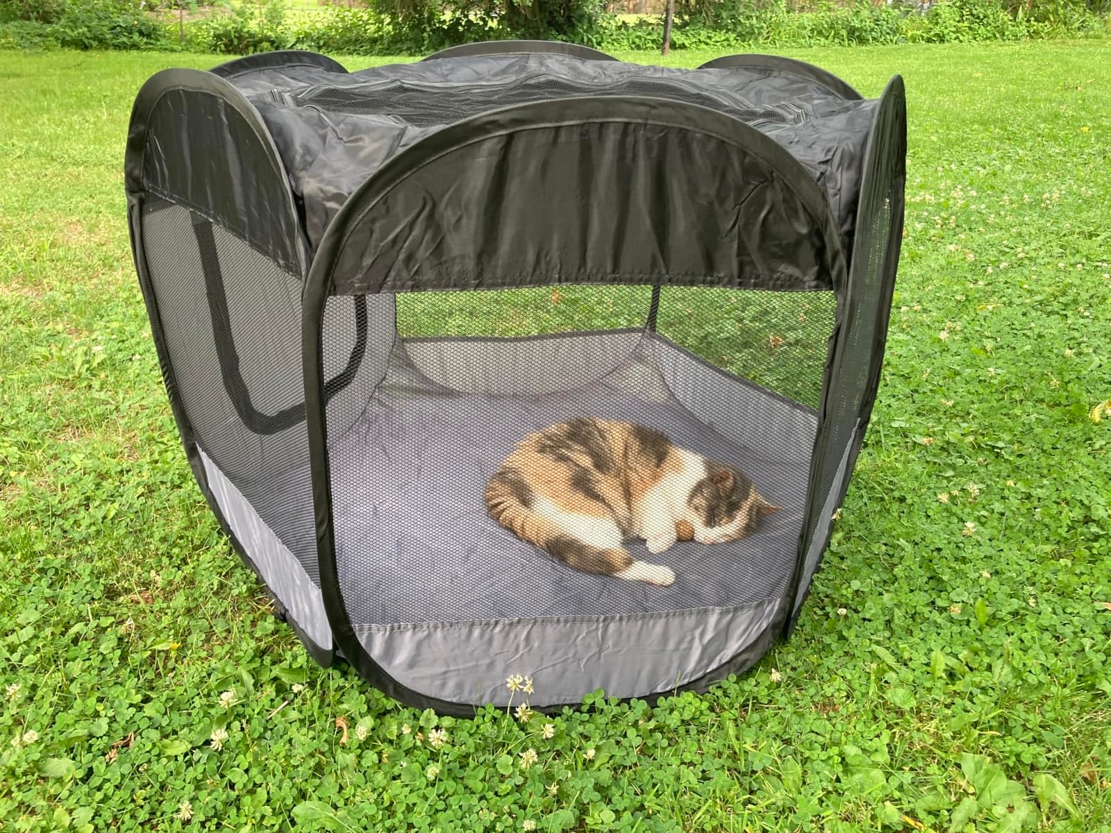 FurHaven Soft-Sided Dog & Cat Playpen, Portable Foldable Indoor & Outdoor Pet Playpen with Mesh Windows & Zippered Door, Gray, Extra Large customer photo 1
