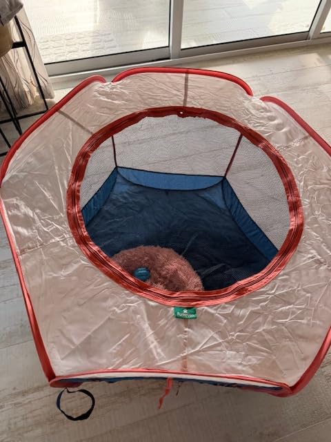 FurHaven Soft-Sided Dog & Cat Playpen, Portable Foldable Indoor & Outdoor Pet Playpen with Mesh Windows & Zippered Door, Gray, Extra Large customer photo 2