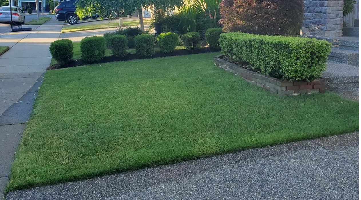 BLACK+DECKER 40V Max Cordless Sweeper & String Trimmer, Battery & Charger Included (LCC340C) customer photo 1