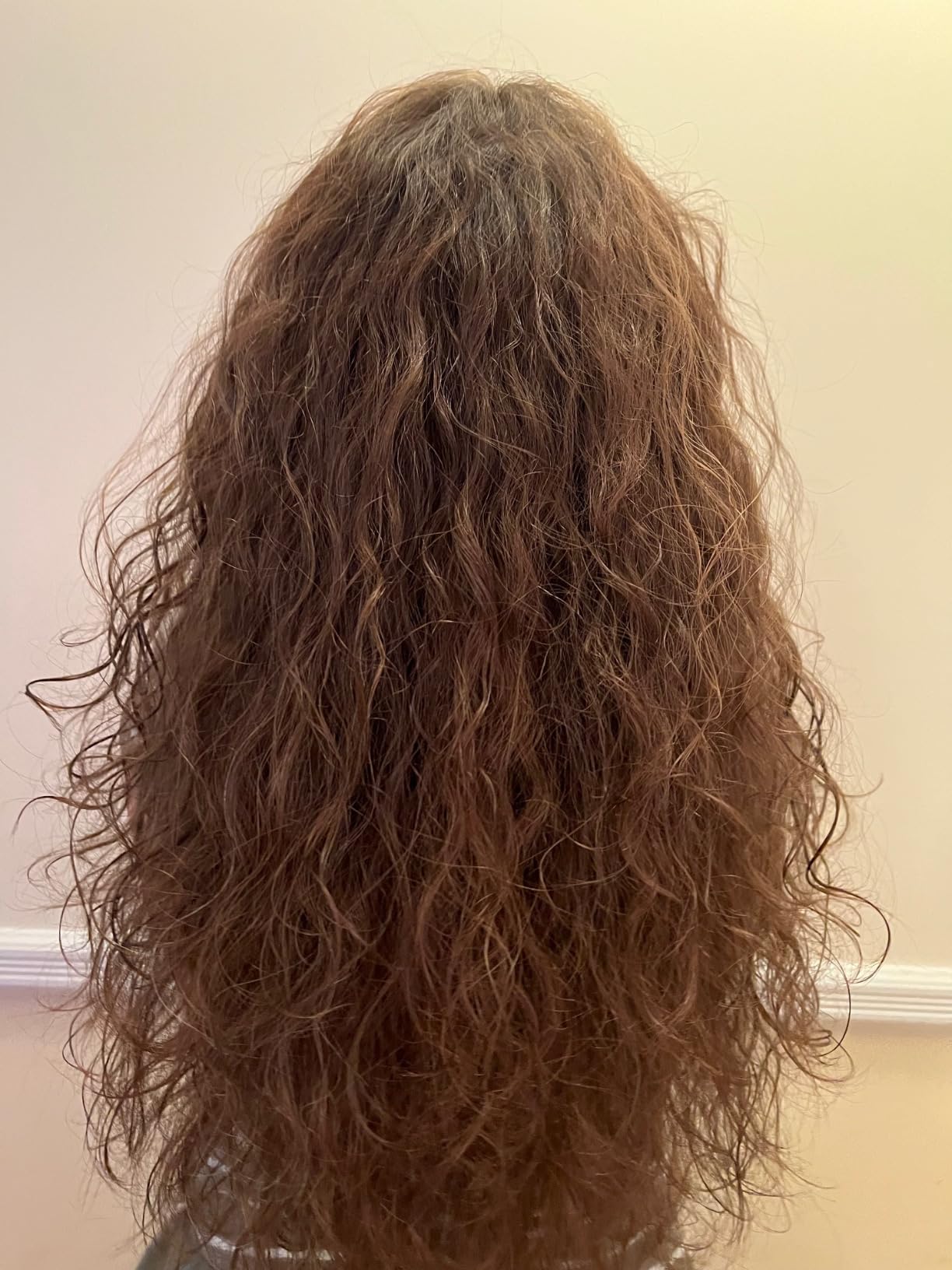 Drybar The Bouncer Diffuser customer photo 2