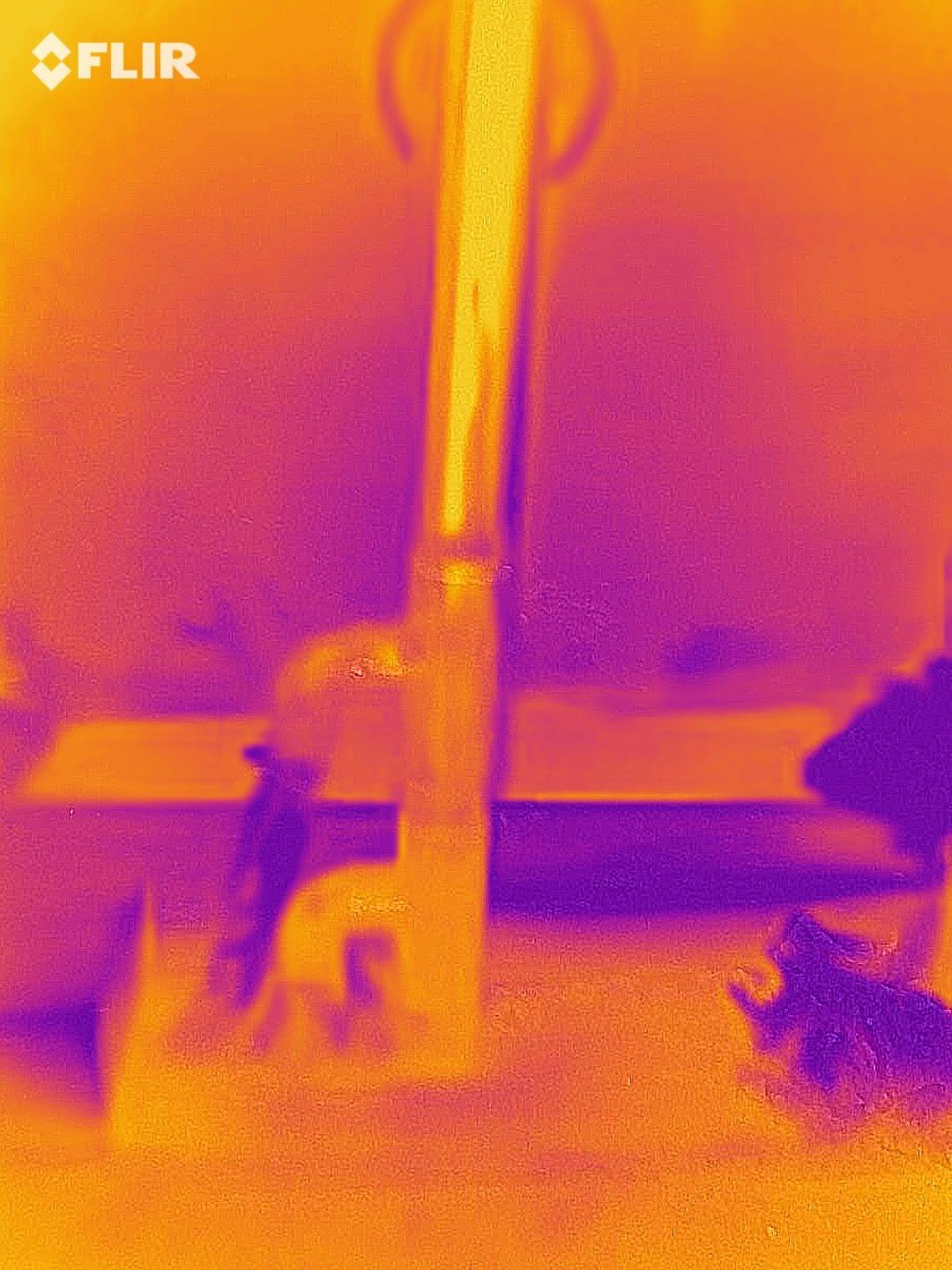 Flir One Pro Thermal Imaging Camera for Android USB-C, 480x360 customer photo 2