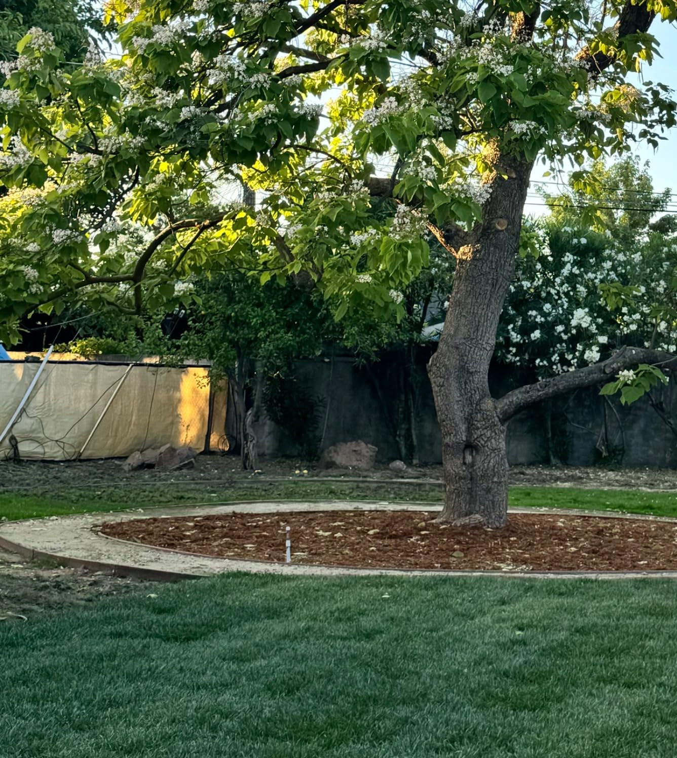 ColourTree Customized Size 6' x 6' Green Fence Screen Privacy Screen - Commercial Grade 170 GSM - Heavy Duty - 3 Years Warranty - Cable Zip Ties Included customer photo 2