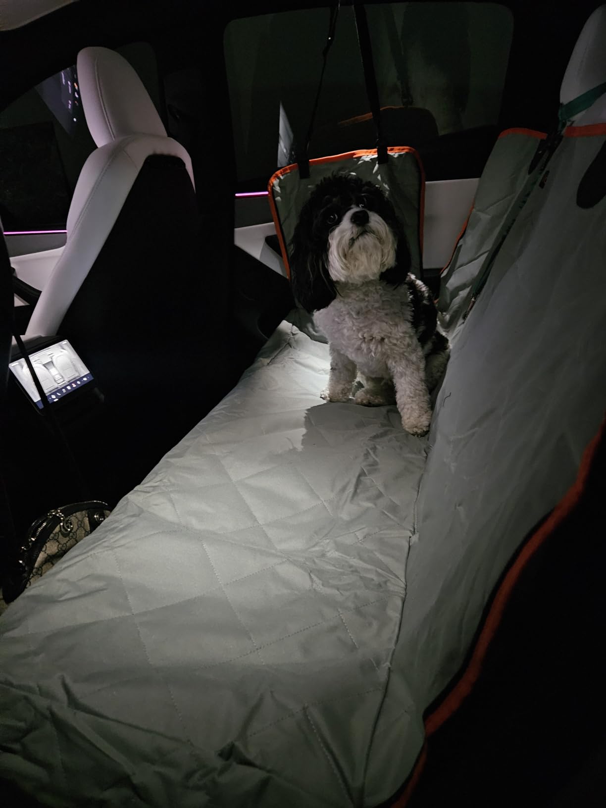 Luxury Dog Car Seat Cover for Back Seat Breathable Mesh Window Dog Hammock for Car 4-Layer Heavy Duty Waterproof Pet Seat Protector Scratch-Proof Car Seat Cover Perfect for Family Road Trips customer photo 2