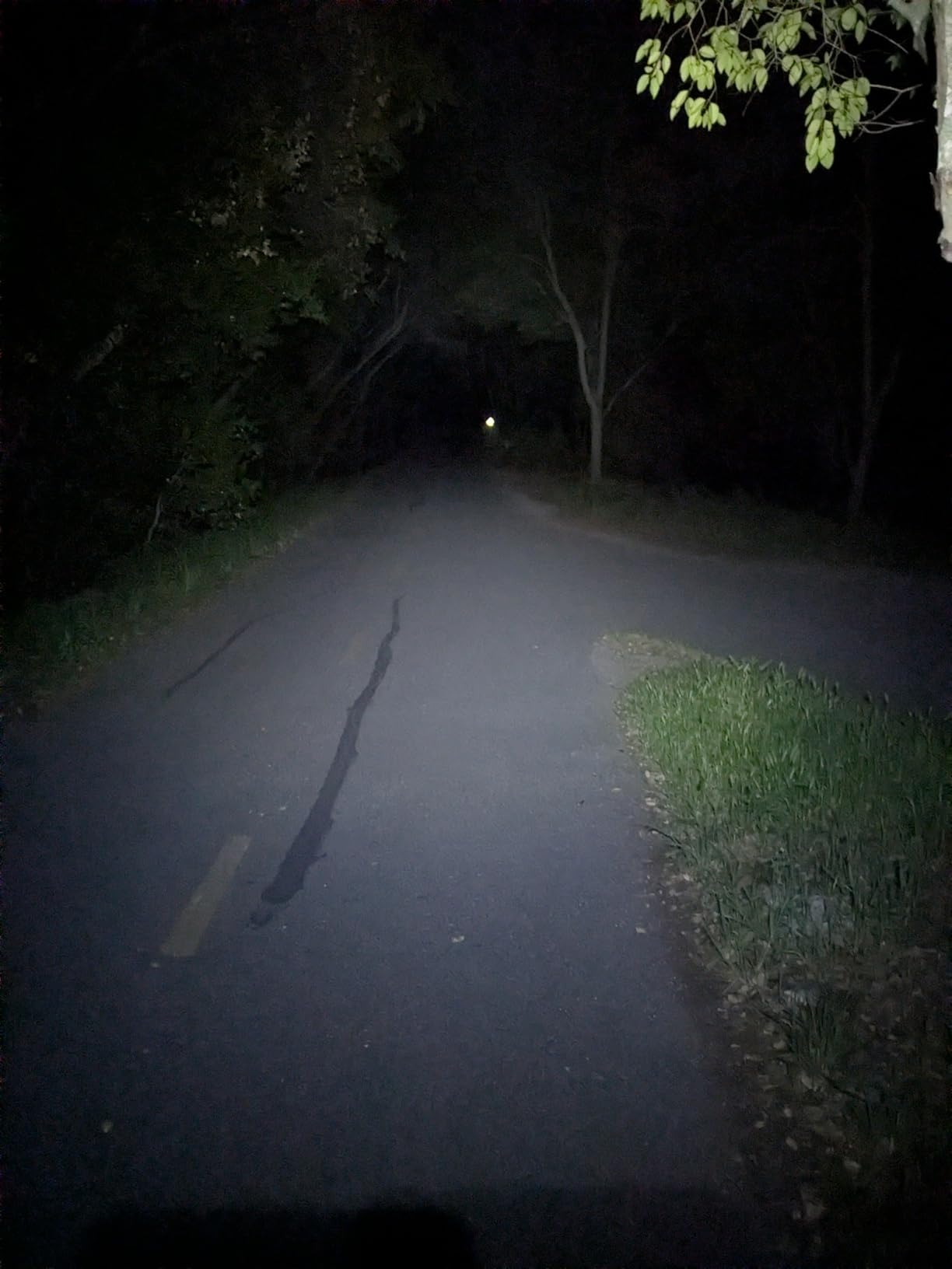 Headlamp. USB Rechargeable LED Head Lamp. Ultra Bright LUMINUS 1080 Lumen Headlamp Flashlight + Red Light. HeadLamps for Adults, Camping, Outdoors & Hard Hat Light. Zoomable IP54 Headlight customer photo 1