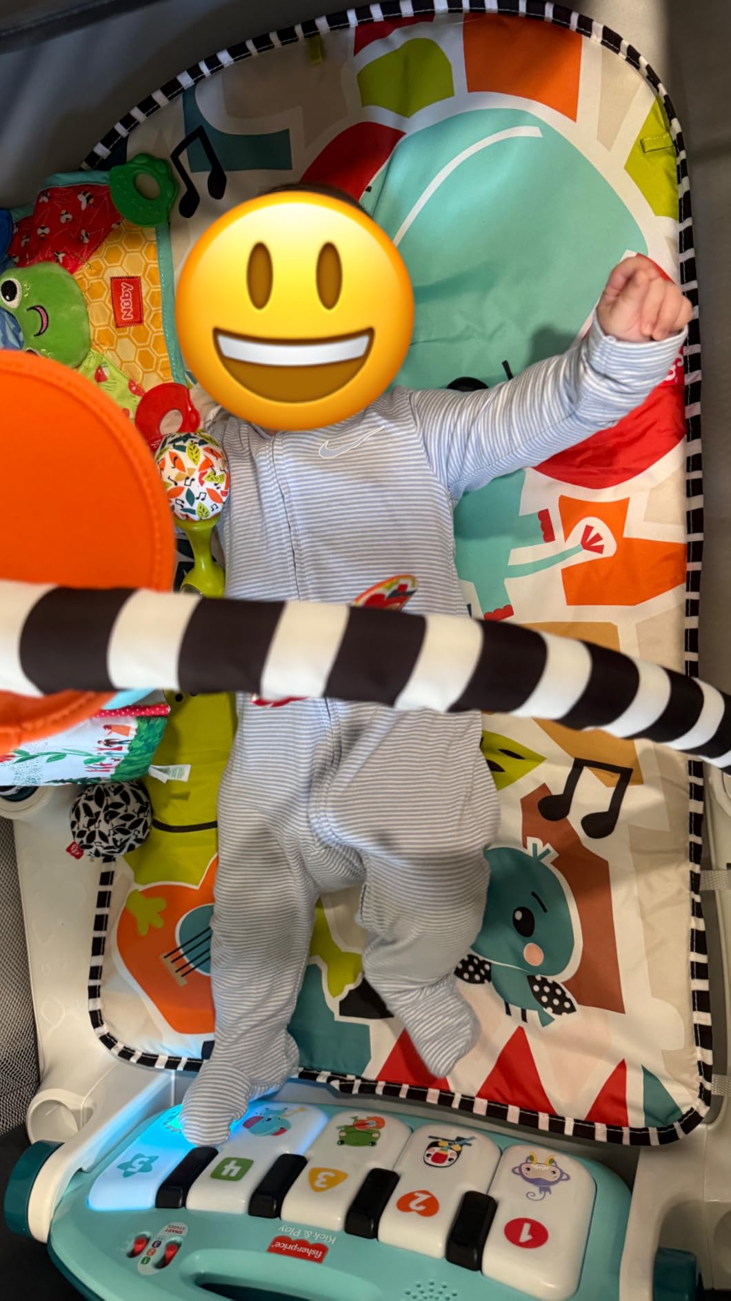 Fisher-Price Baby Playmat Deluxe Kick & Play Piano Gym for Learning & 2 Maracas Soft Rattles for Newborn to Toddler Play Ages 0+ Months customer photo 2