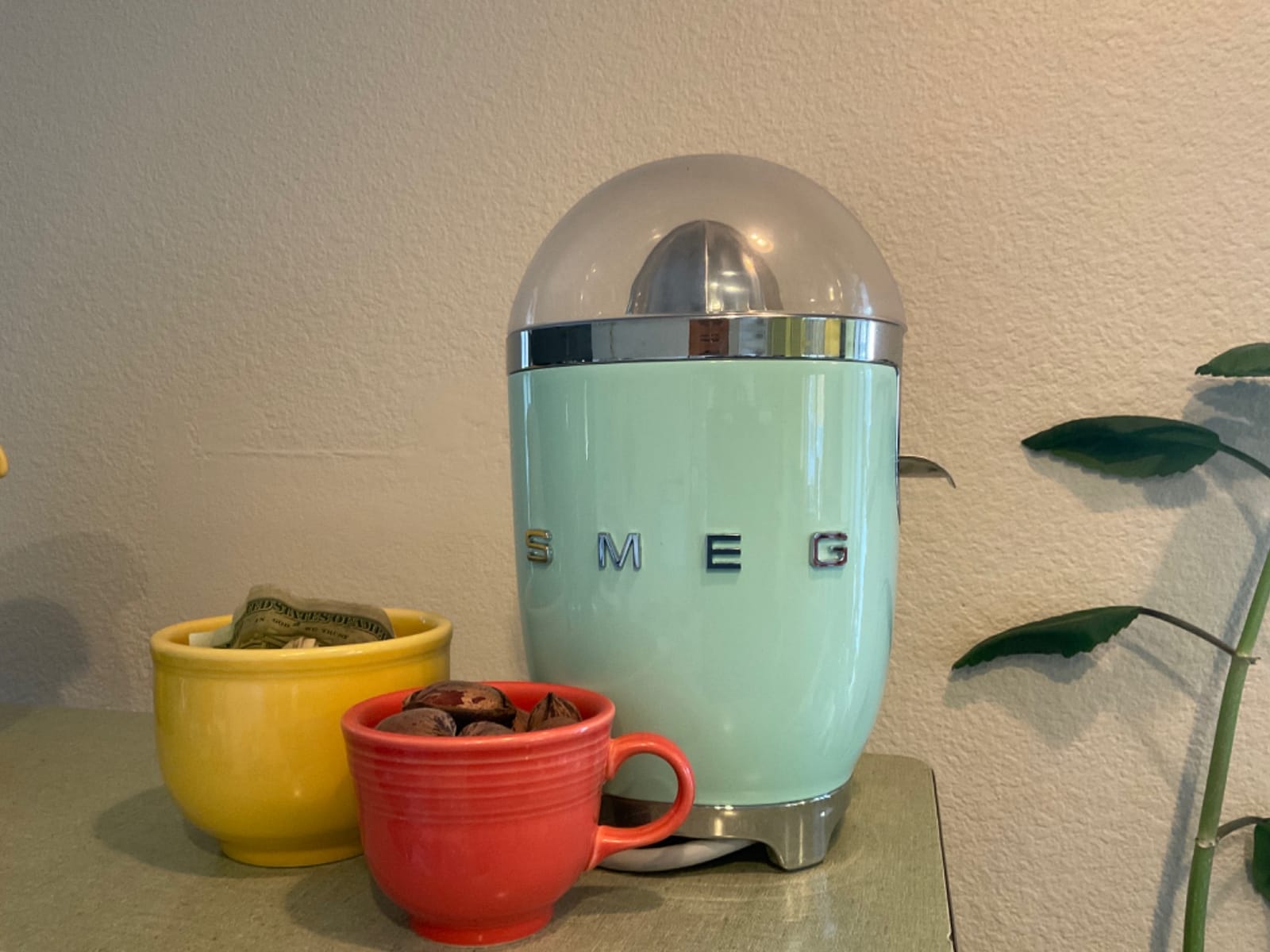 Smeg Citrus Juicer customer photo 1