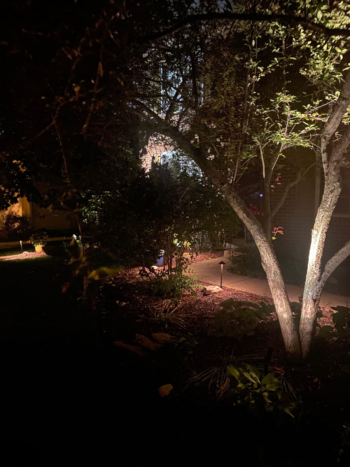GOODSMANN 10 Pack Low Voltage Landscape Lighting Kit with 150W Transformer customer photo 1