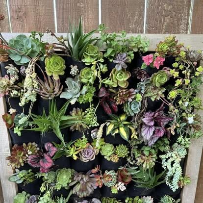 Ogrmar 36 Pockets Wall Planter Breathable Vertical Garden Planter Grow Bag | Plant Wall Hanging Pockets for herbs, flowers, vegetables&strawberries, Felt fabric, easy hanging for indoor and outdoor use customer photo 2