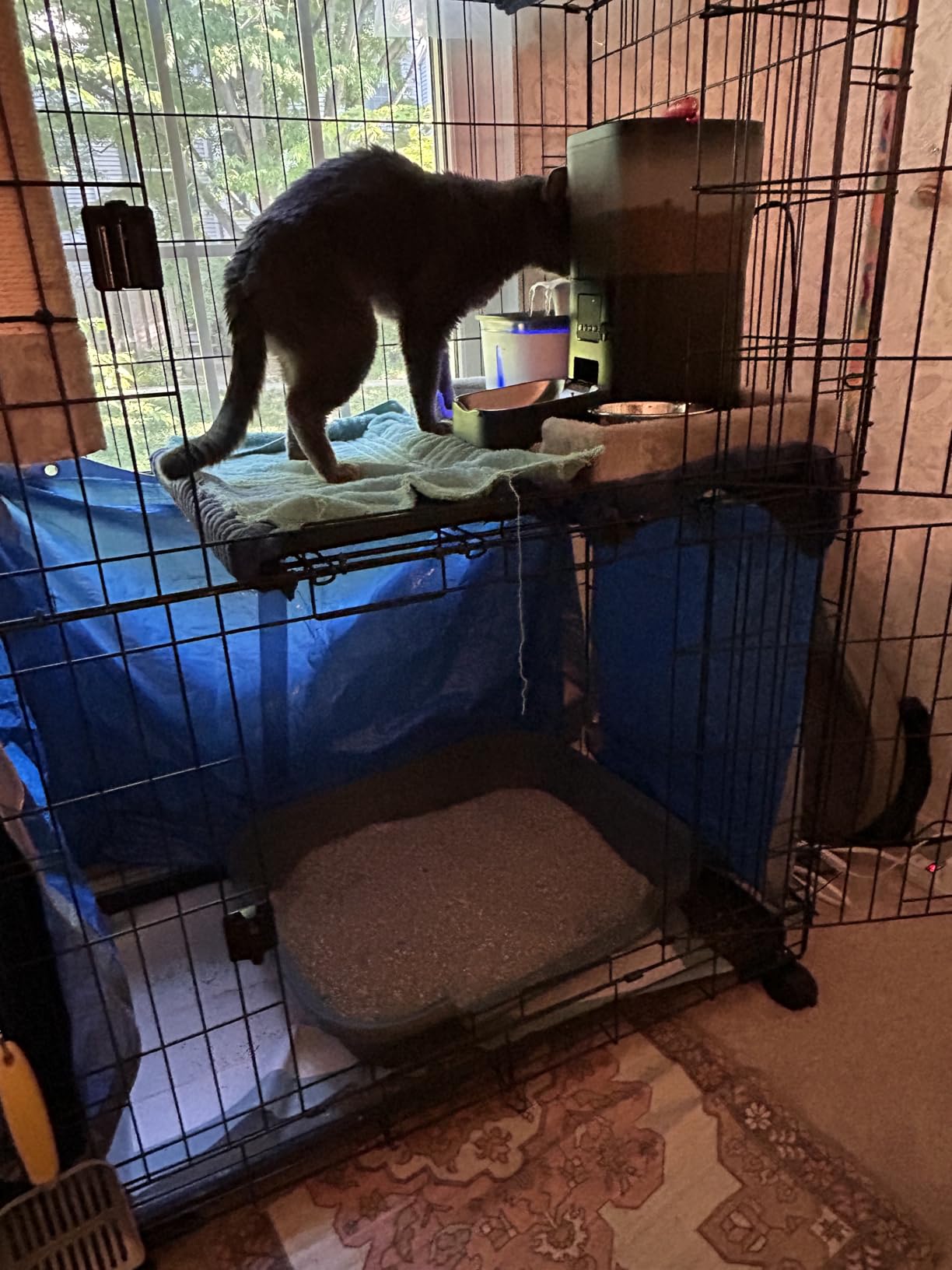 Amazon Basics Large 3-Tier Cat Cage Playpen with Easy to Clean Removable Tray, Front Doors, Portable, Foldable, 35.8