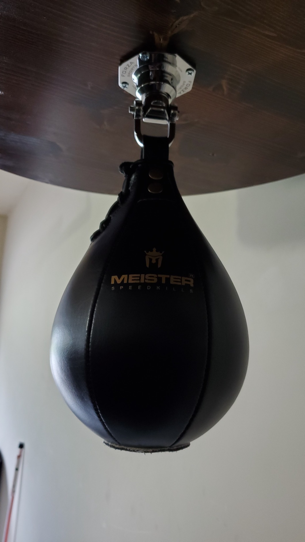 Meister SpeedKills Leather Speed Bag with Lightweight Latex Bladder | Hand-stitched and gyro-balanced for true rebounds, 100% genuine cowhide leather, lightweight SpeedKills bladder customer photo 1