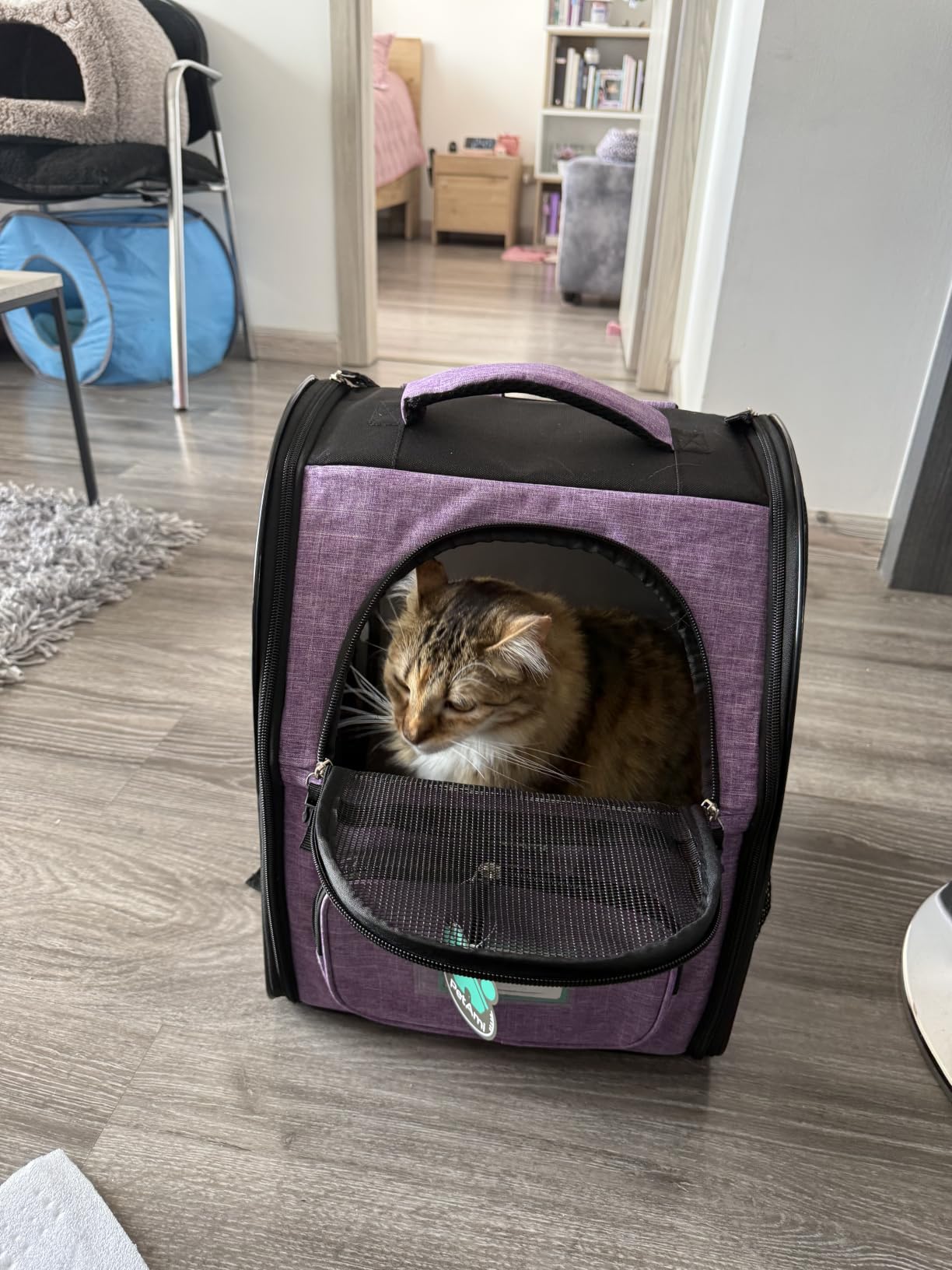 PetAmi Dog Backpack Carrier Airline Approved Cat Pet Puppy Bag, Purple customer photo 1