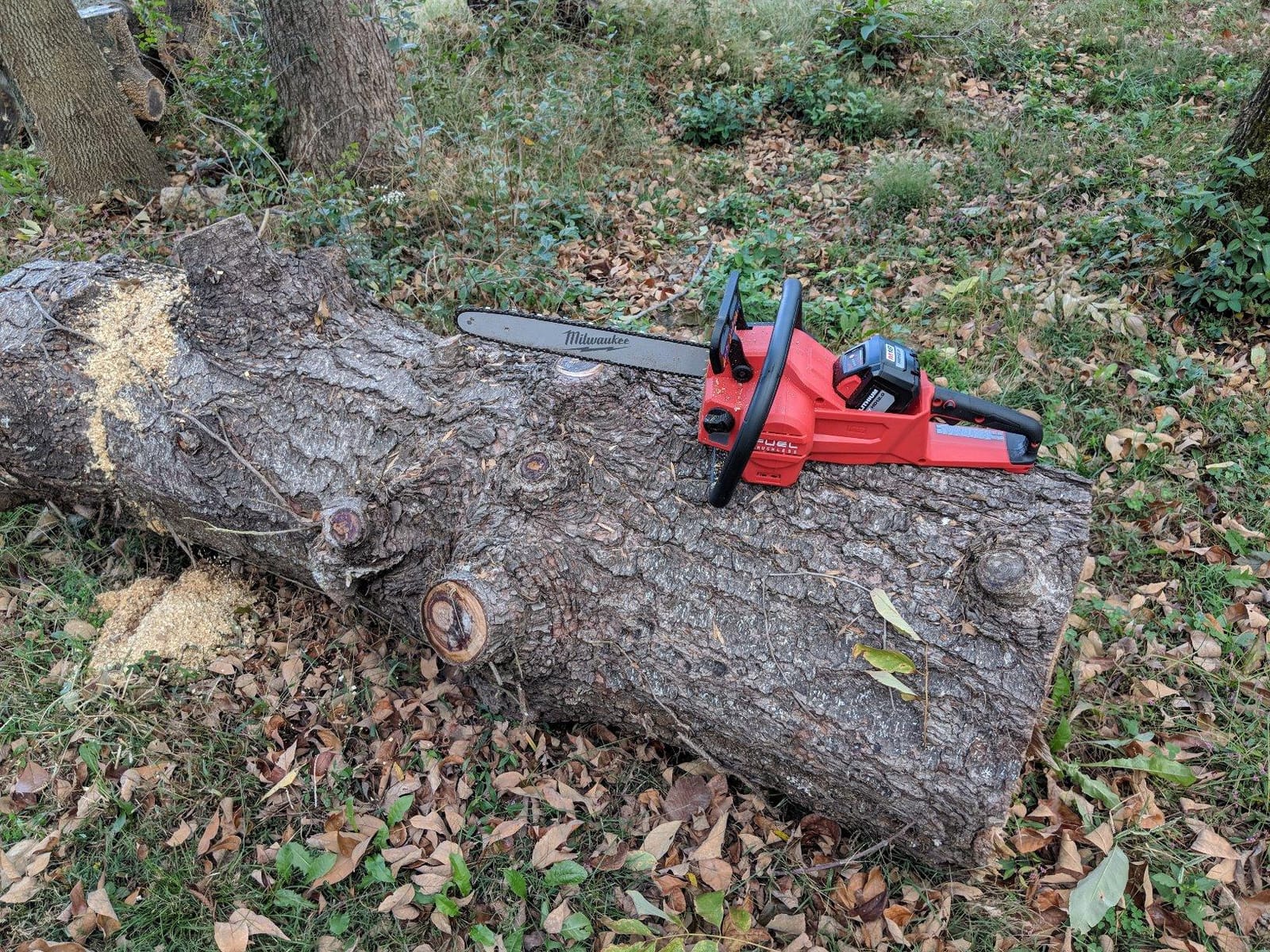 Milwaukee Electric Tools 2727-21HD Chainsaw Kit customer photo 2
