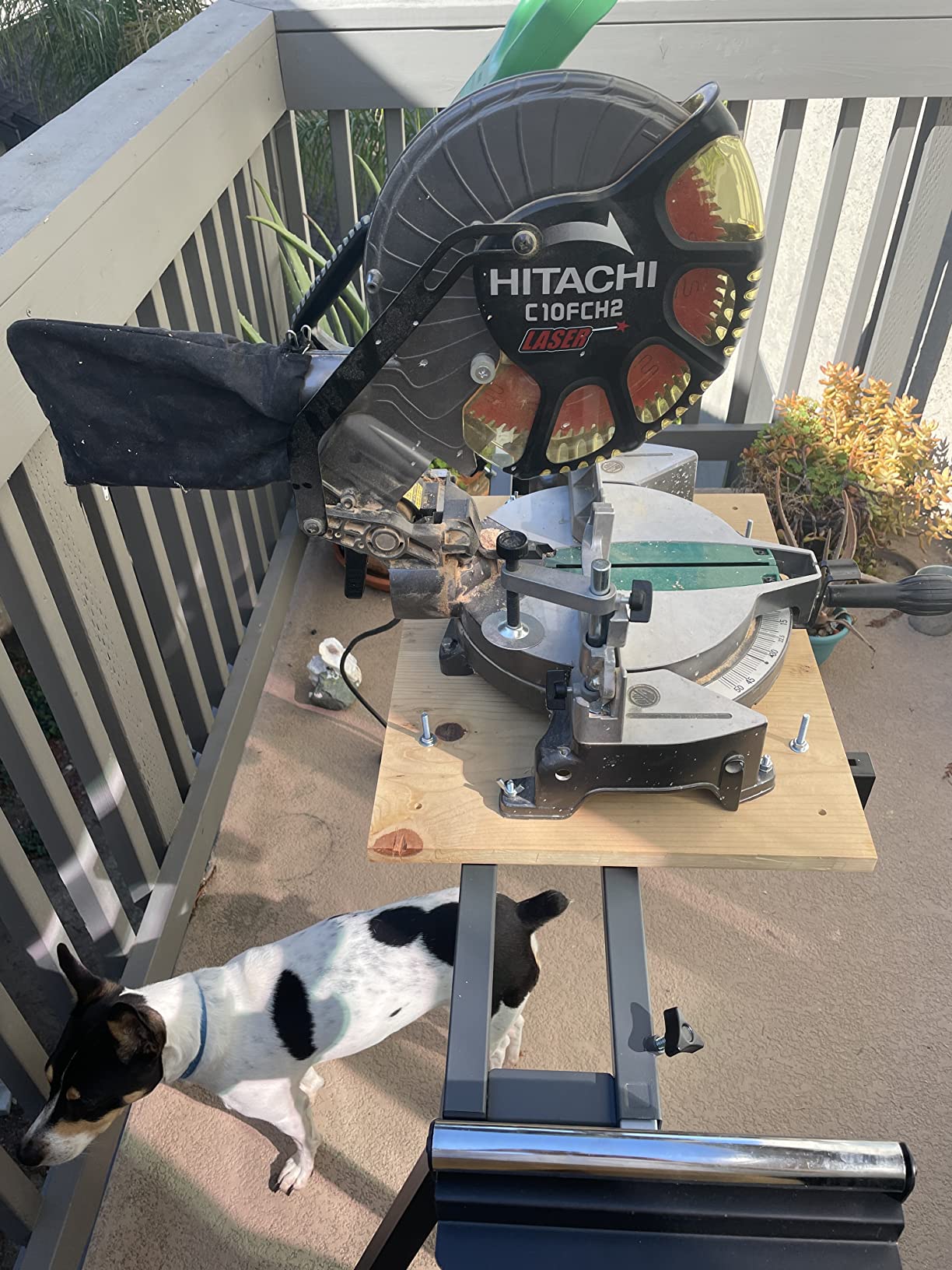 Deluxe Heavy Duty Rolling Miter Saw Stand with 8 in Wheels 330 Lbs Load Capacity Black and Grey Single Pack WK-MS029E-2 customer photo 2