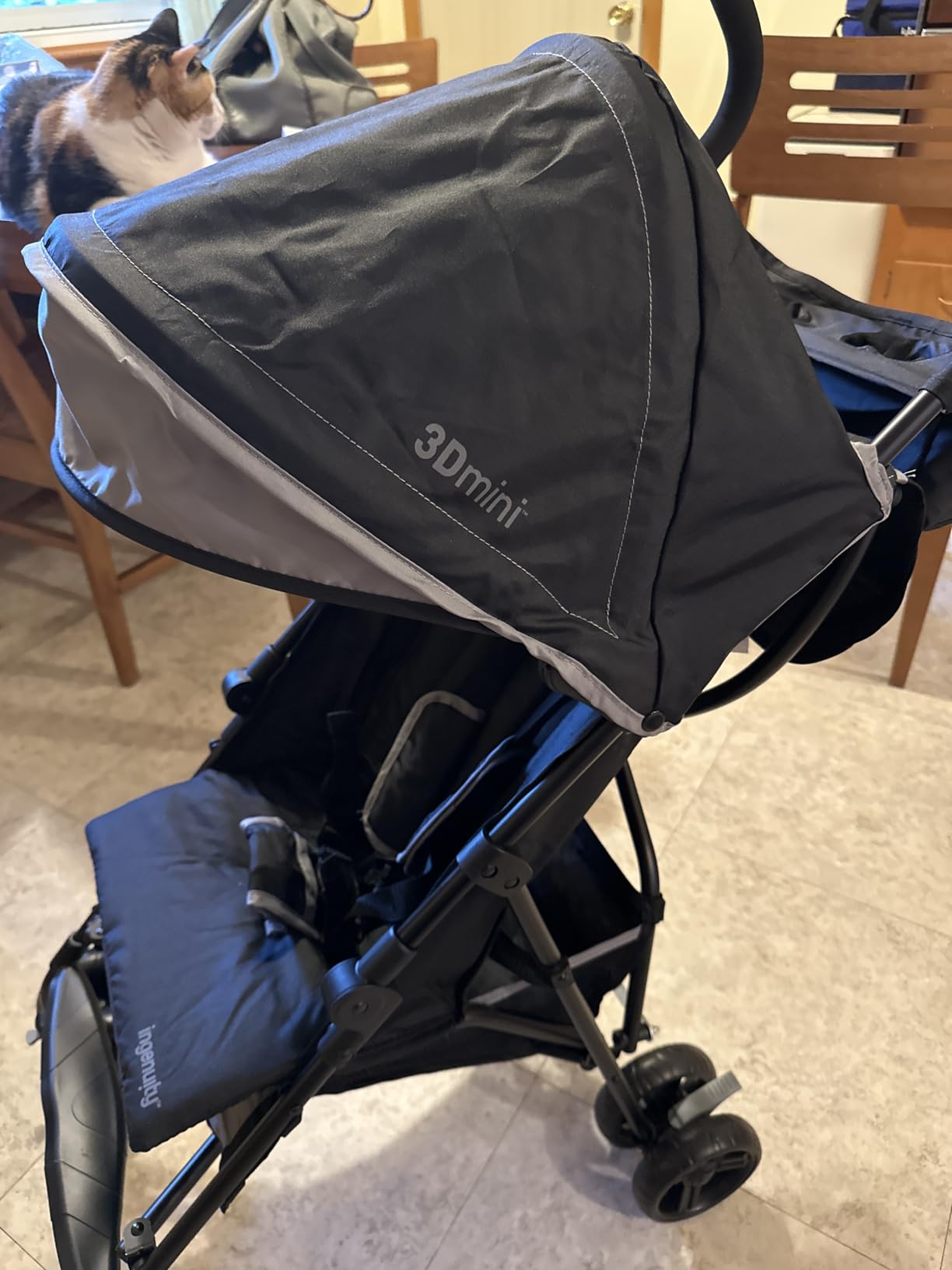 Ingenuity 3D Mini Convenience Stroller – Lightweight Stroller with Compact Fold, Multi-Position Recline, Canopy with Pop Out Sun Visor – Umbrella Stroller for Travel & More, Blue/Black customer photo 2