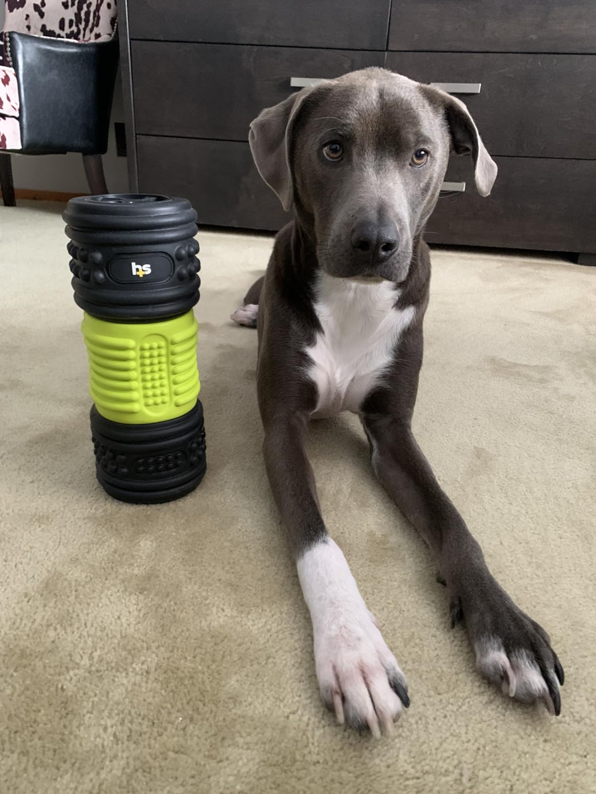 HealthSmart 4-Speed Vibrating Exercise Roller Foam FSA/HSA Eligible – Deep Tissue Massage Muscle Recovery & Pain Relief for Full Body | Electric Foam Roller for Physical Therapy & Workout customer photo 1